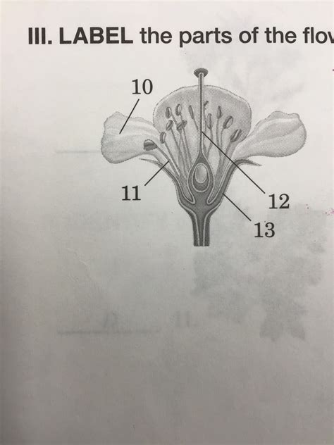 Sciencechapter 3 Diagram Quizlet