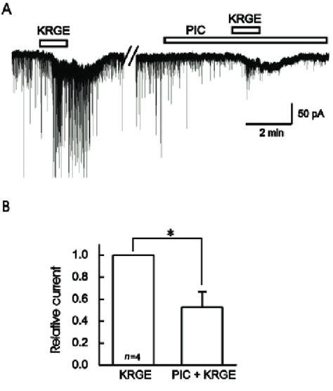 The Korean Red Ginseng Extract Krge Induced Inward Currents Were Also