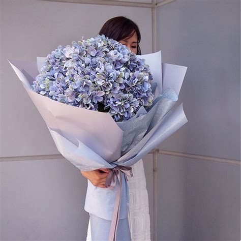 Jual Hydrangea Xxl Bouquet Bucket Buket Bunga Wisuda Ultah Segar Fresh