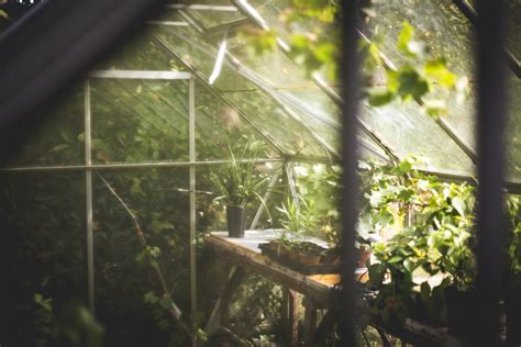 Tips For Proper Greenhouse Ventilation