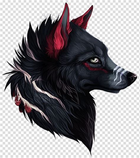 Red Wolf Drawing Easy ~ How To Draw A Red Wolf | Bodenowasude