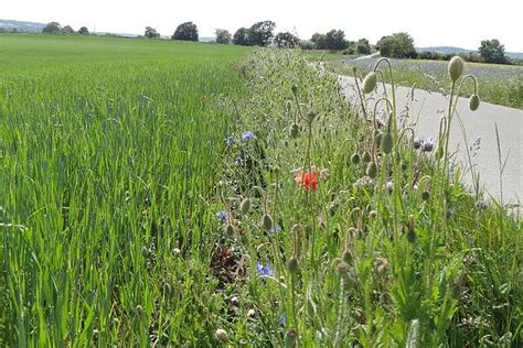 Ökolandbau NRW Freiwillige Fördermaßnahmen der neuen GAP