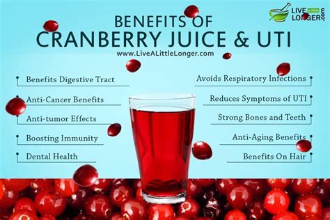 Cranberry Juice Recipe For Uti | Recipe Loving