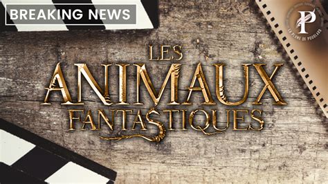 David Yates Revient Sur L Avenir De La Saga Des Animaux Fantastiques