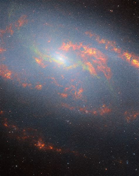 James Webb reveals the secrets of a nearby galaxy