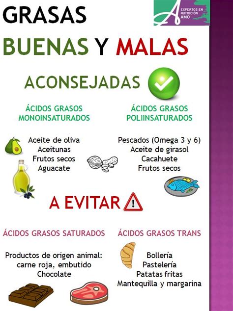 Las Grasas Buenas Y Malas Expertos En Nutrici N Amo