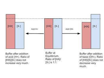 Buffer System In Chemistry Definition Function Examples Lesson