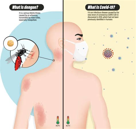 150 Prevencion Del Chikungunya Ilustraciones De Stock Gráficos