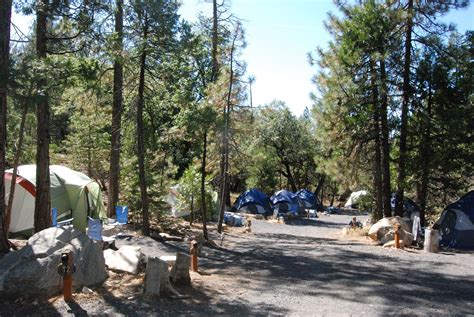 Yosemite Camping at Evergreen Lodge