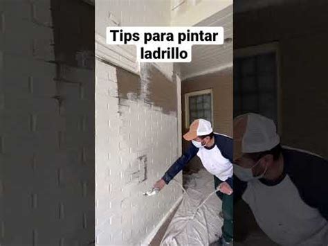 C Mo Pintar Un Muro De Ladrillo Princesa Blanco Consejos Expertos De