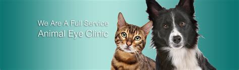 Animal Eye Professionals in Florida | Animal Eye Specialty Clinic