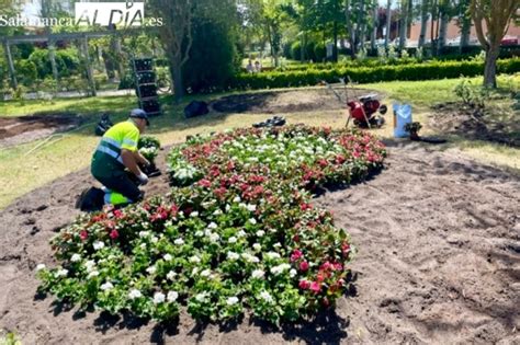 Abiertas Las Inscripciones De Una Nueva Bolsa Municipal De Trabajo Para