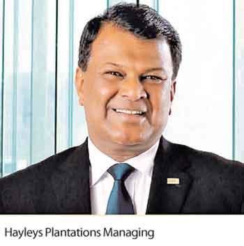 Horana Plantations Wins Golds At Commonwealth Business Excellence