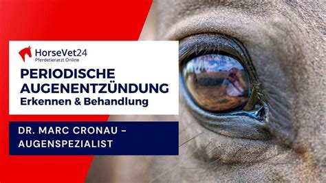 Periodische Augenentzündung Pferd frühzeitig erkennen behandeln