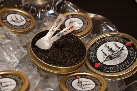 Sturgeon Caviar - Afishionado Fishmongers