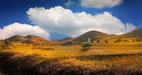 La Cuisine Malgache Traditionnelle Durant Un Voyage Madagascar