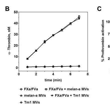 Shedding Of MVs By Melan A And Tm1 Cells A Example Of Tm1 And