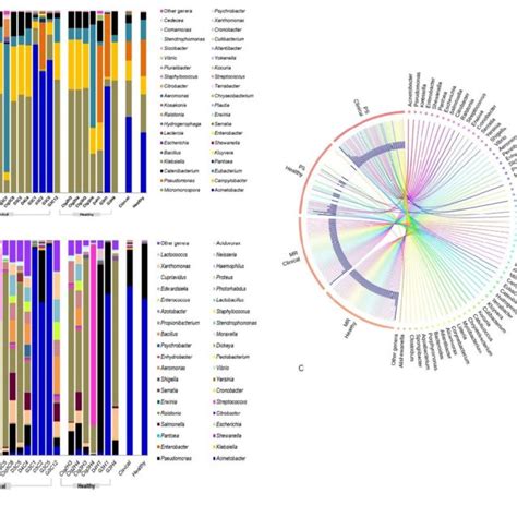 Taxonomic Profile Of 40 Most Abundant Bacterial Genera In Bovine