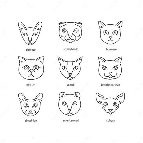 cat breeds  icon set stock vector illustration  icon