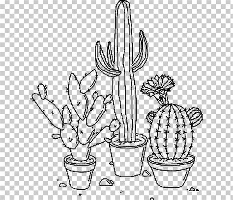 Cactaceae Art Desktop Png Clipart Animation Black And White