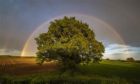 Crowd results | Natural Rainbows (in colour) - Nature photo contest ...