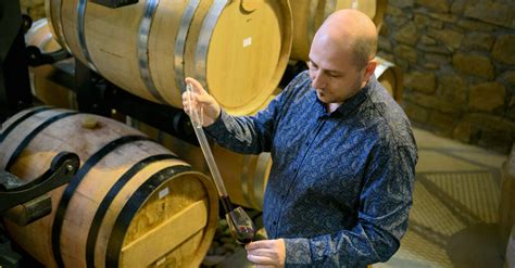 Yalovo Winery - Wine Tasting & Tour | Winetourism.com