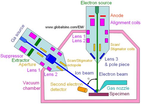 Dual Beam Fib Sem