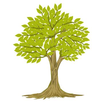 Green Tree Leaves Vector Hd Images Cartoon Tree With Green Leaves