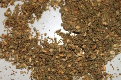 Затар - что за приправа? : Кулинарные вопросы