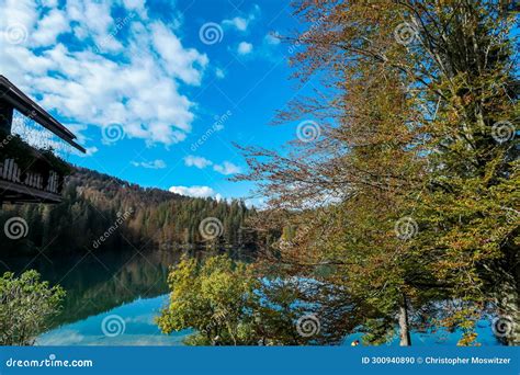 Laghi Di Fusine Group Of Ducks Swimming With Scenic View Of Superior