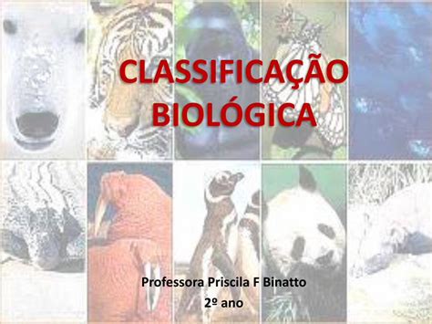 PDF A classificação biológica PDF fileclassifica os seres vivos