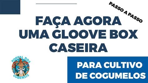 Passo A Passo Como Construir Uma Glove Box Para Cultivo De Cogumelos