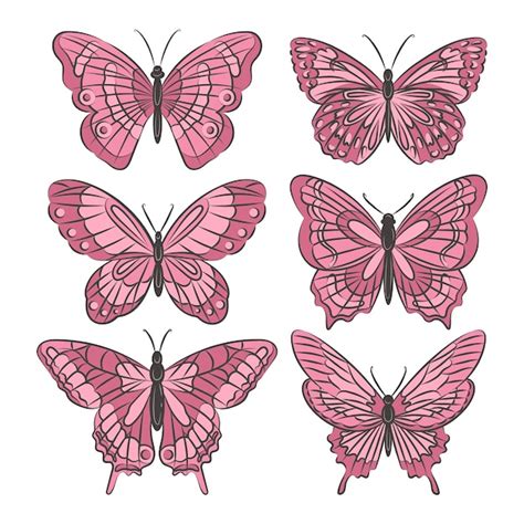 Free Vector Hand Drawn Butterfly Illustration