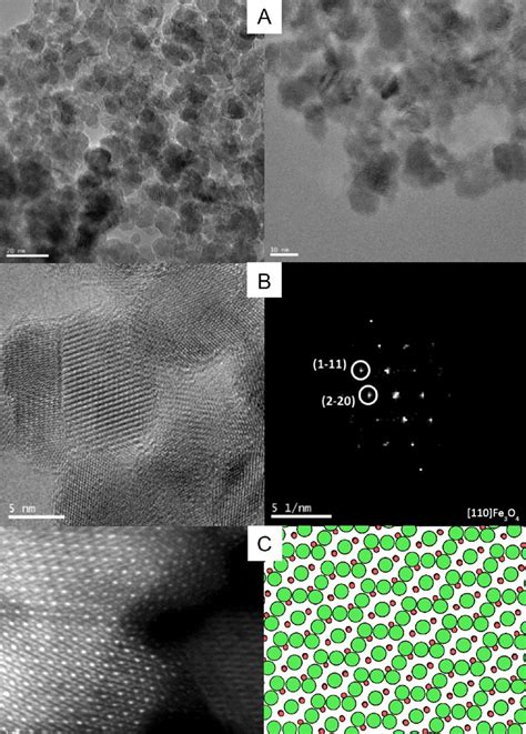 Characterization Of Iron Oxide Nanoparticles A Tem Images B Hrtem