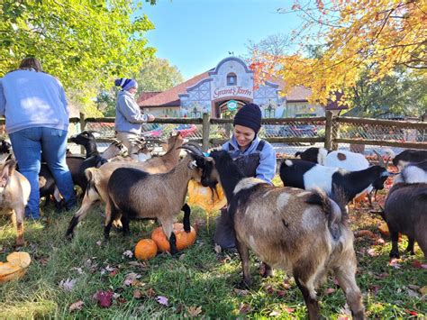 Grants Farm Hosting Hiring Fair St Louis Call Newspapers