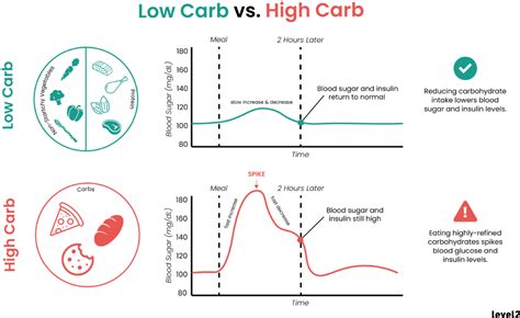 Low Carb Eating The Basics Level2