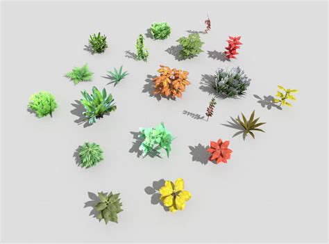 3D Model Low Poly Plants Collection Cactus VR AR Low Poly CGTrader