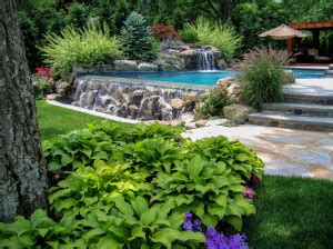 Ornamental Plantings Clc Landscape Design