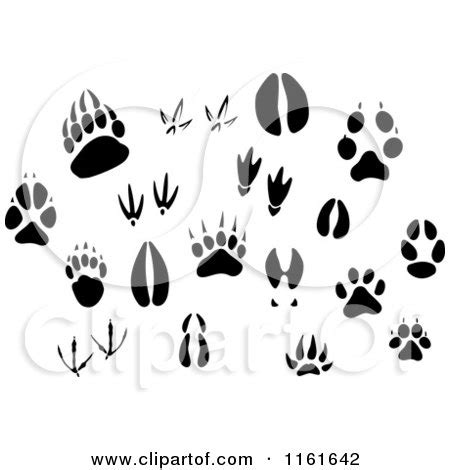 Clipart of Black and White Animal Tracks and Prints - Royalty Free Vector Illustration by Vector ...