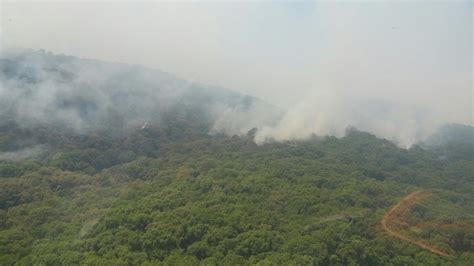 Reporta Conafor Disminución De Incendios Forestales En Nayarit