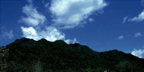 view   matang range  kampung matang  scientific diagram