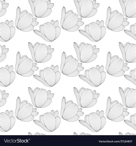 Drawn Black And White Tulip With Contour Line Vector Image