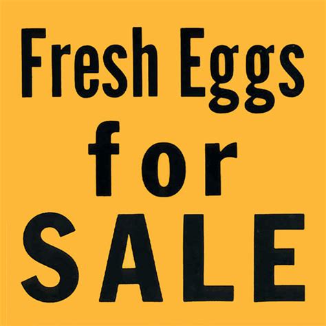 Eggs For Sale Sign Worksheets Library