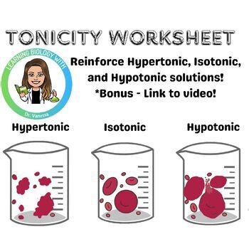 Tonicity Worksheet Reinforce Hypertonic Isotonic And Hypotonic Solutions