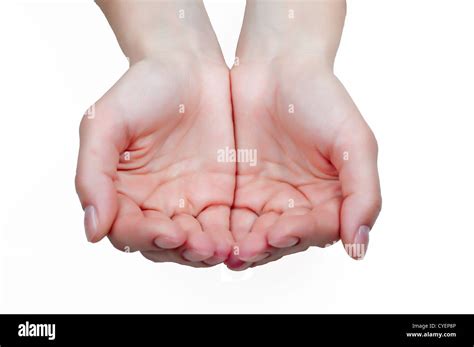 Empty Palms Isolated On White Background Stock Photo Alamy