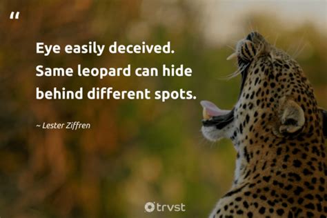 43 Leopard Quotes Inspirational Leopard Sayings 2024