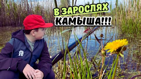 РЫБАЛКА НА МАХОВУЮ УДОЧКУ НА ПОПЛАВОК!!! - YouTube
