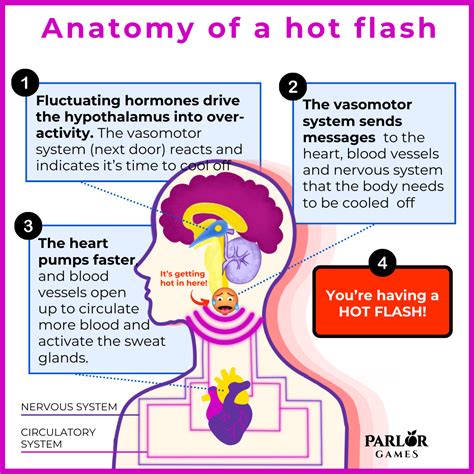 How Hot Flashes Happen