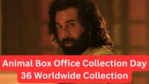 Animal Box Office Collection Day 36 Worldwide Collection