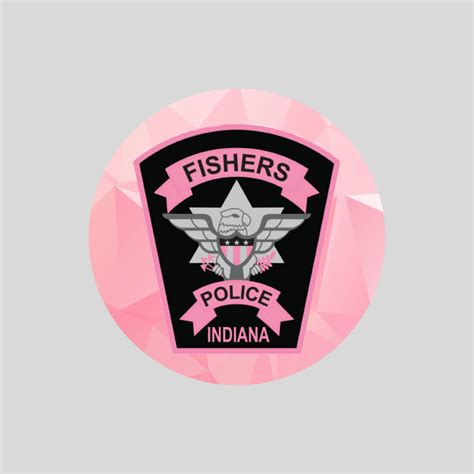 fishers police activity today 4